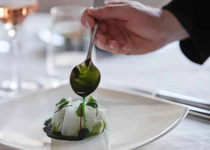 Amadria Park Milenij מלון