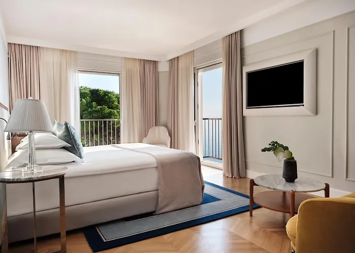 Amadria Park Milenij מלון